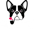Logo Paquito